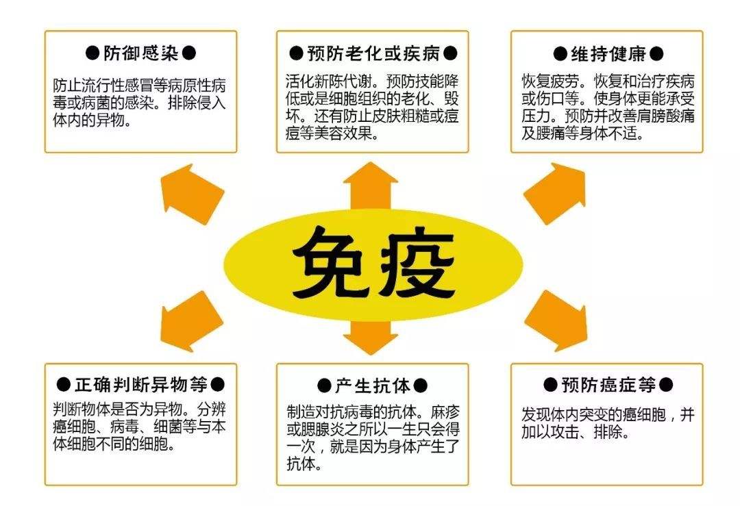 外来人口病毒_外来人口禁止入内图片(3)